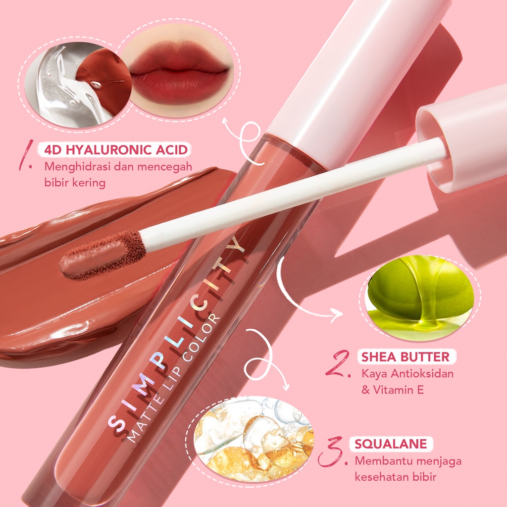 YOU Simplicity Matte Lip Color R879 Nice One *