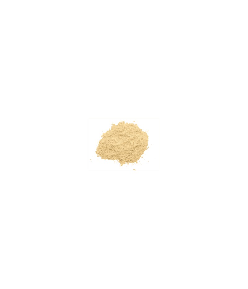 VIVA Bedak Doos Mini Hijau Tabur 25gr - Natural