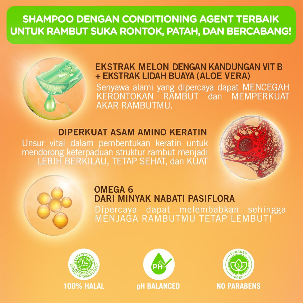 Makarizo Hair Energy Fibertherapy Conditioning Shampoo 170ml Botol - Aloe & Melon (Hijau)