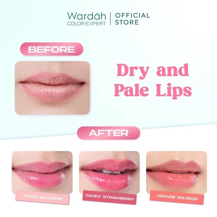 Wardah Hydrabalm Lip Care SPF15 4gr - Peach Blossom