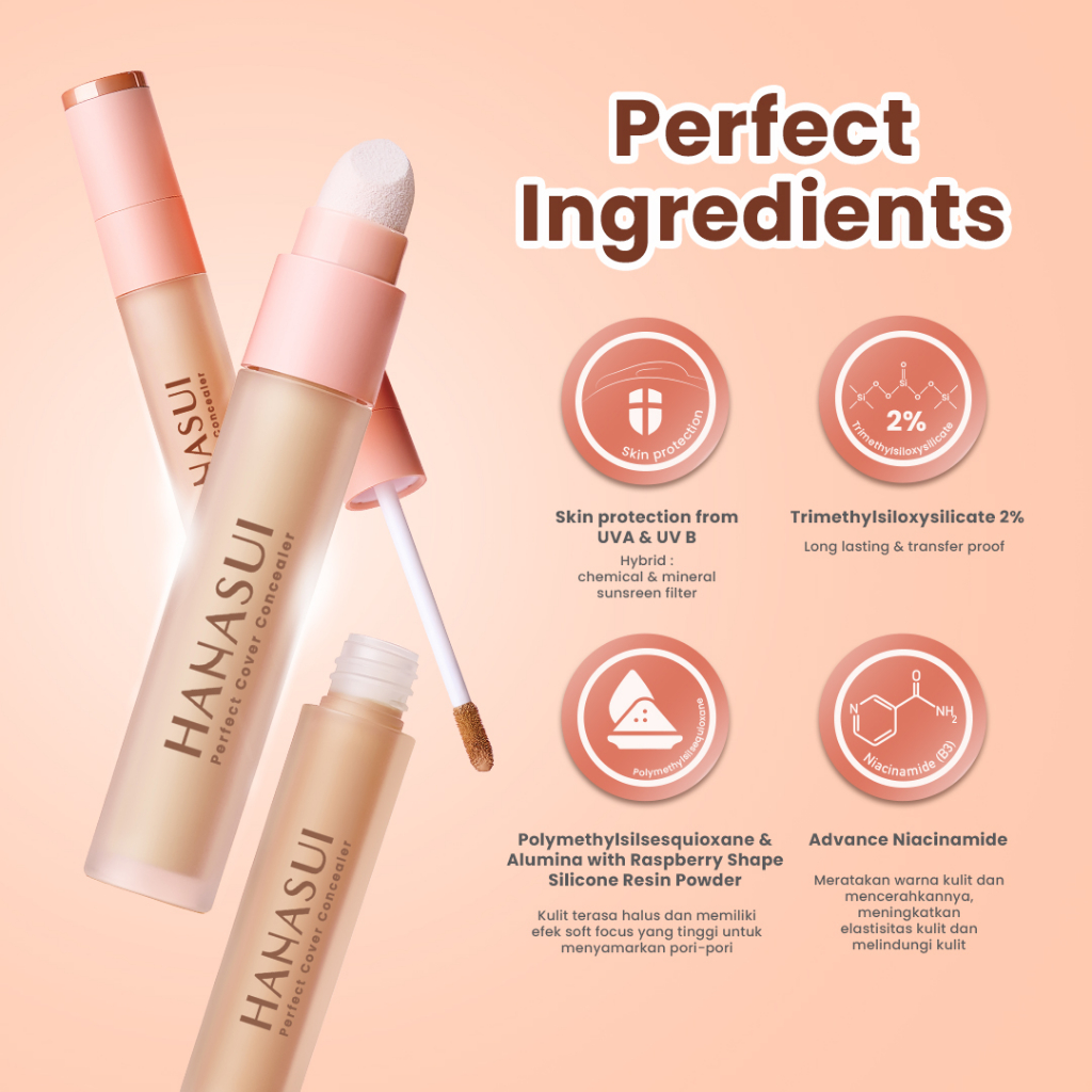 Hanasui Perfect Cover Concealer 4.5gr - 01 Fair
