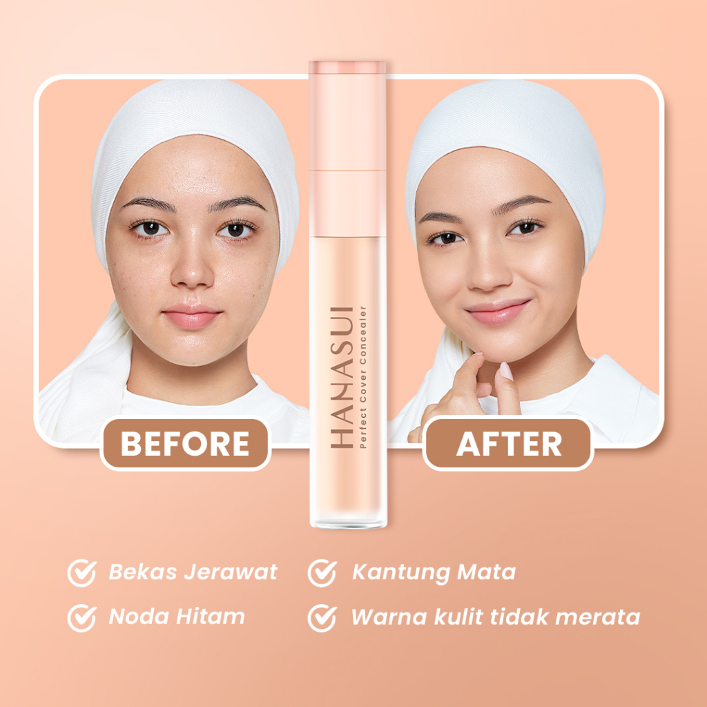 Hanasui Perfect Cover Concealer 4.5gr - 03 Caramel